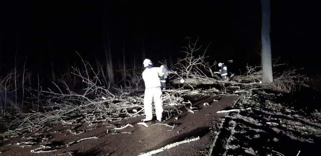Сильный ураган в Познани и Великопольском воеводстве: срывает крыши и валит деревья.  Один человек погиб