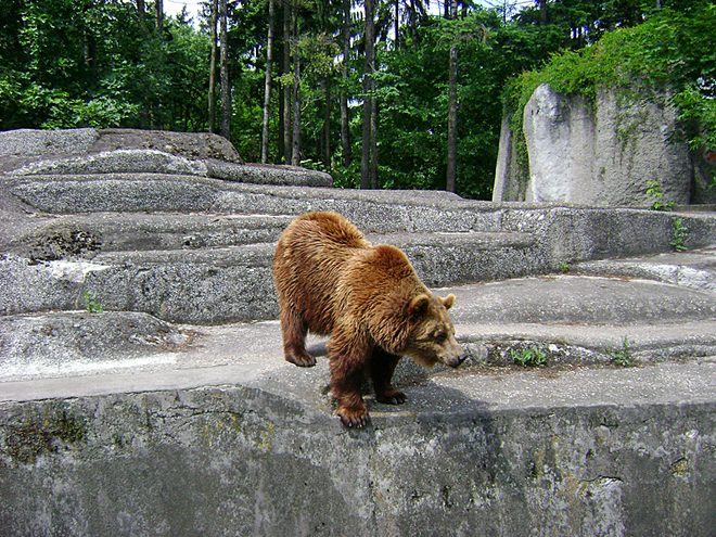 varshavskij-zoopark