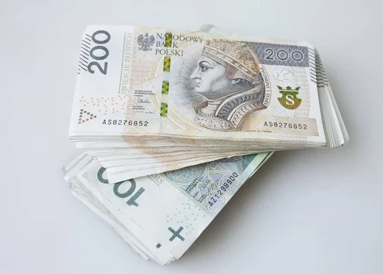 chto-delat-esli-rabotodatel-v-polshe-ne-vyplachivaet-zarabotnuyu-platu